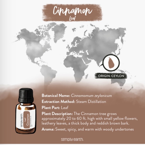 Simply Earth Cinnamon Essential Oil - Picture 4 of 6